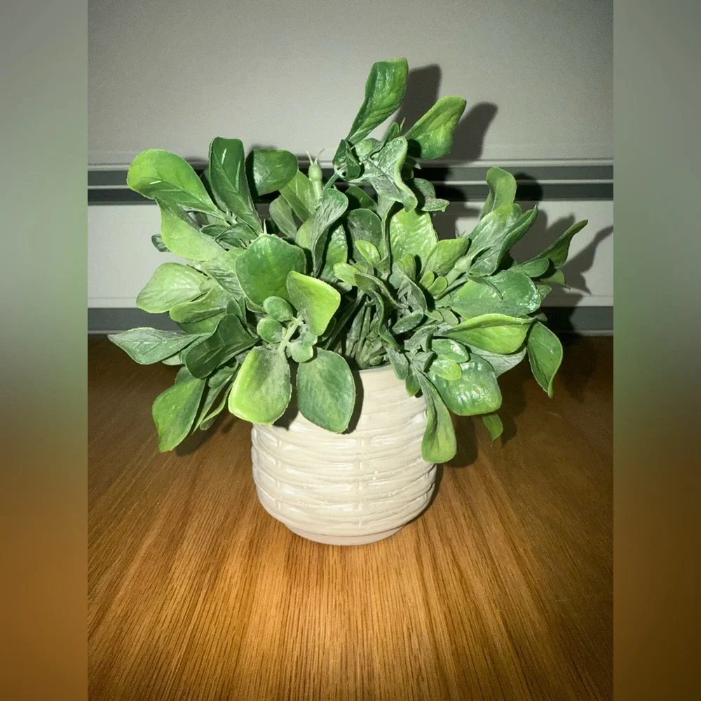 Greenery in White/grey Textured Pot